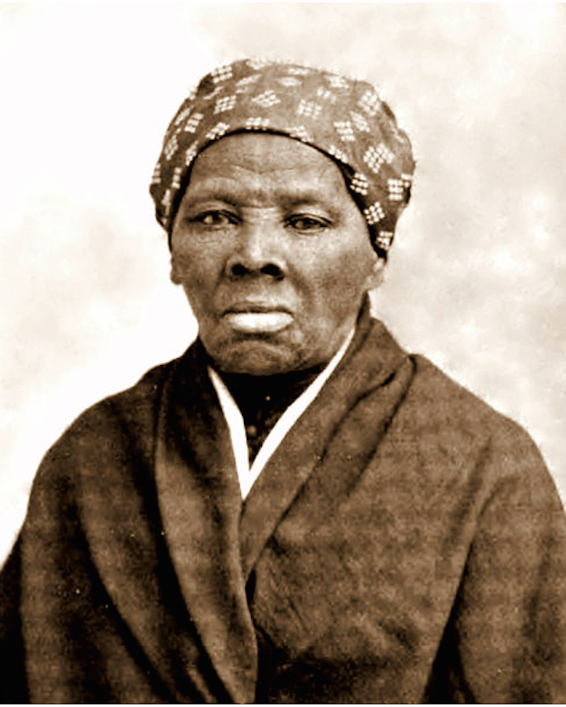 Harriet Tubman ins 1895/Image via The New England Magazine.
